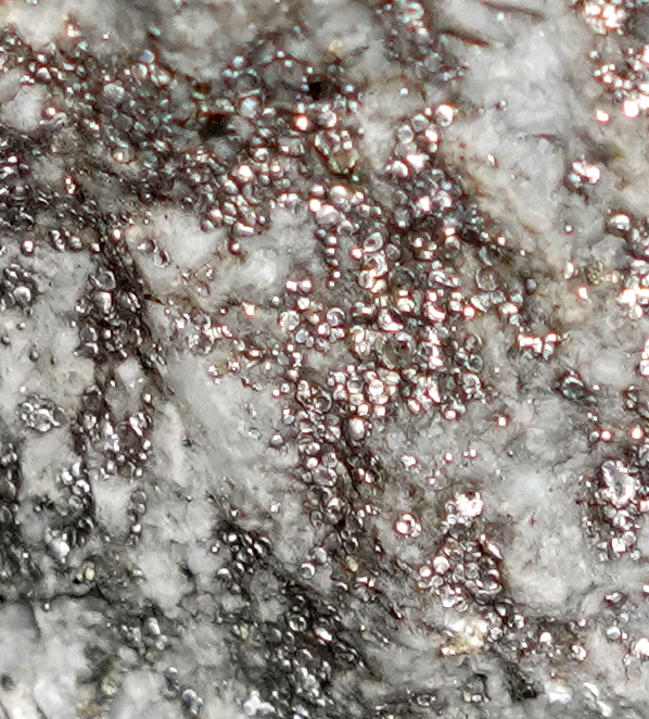 Here's a close-up of the tiny drops of liquid native mercury that have seeped out of this rock